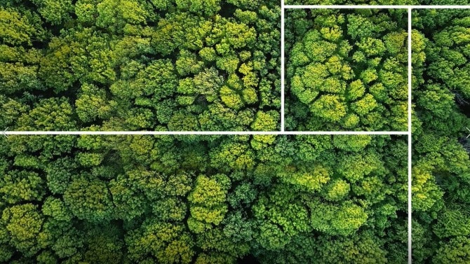 Net Zero Appg The Role Of The Land In Achieving Net Zero Net Zero