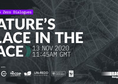 Race to Zero Dialogues: Nature’s Place in the Race