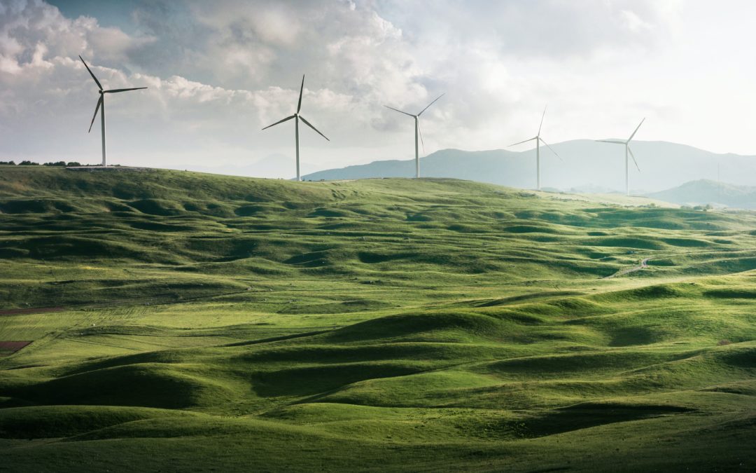 Course event: Understanding policies and pathways to net zero