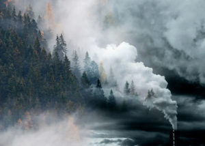 factory smoke covering pine forest double exposure global warmin