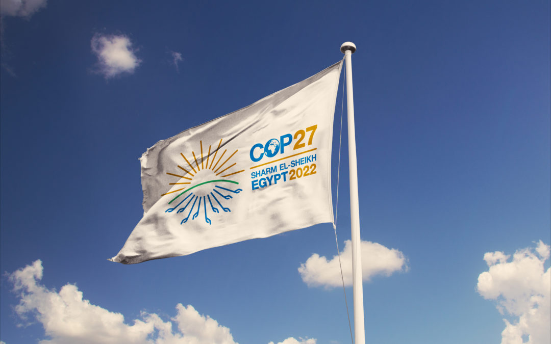 Webinar: Smith School COP27 Round Up
