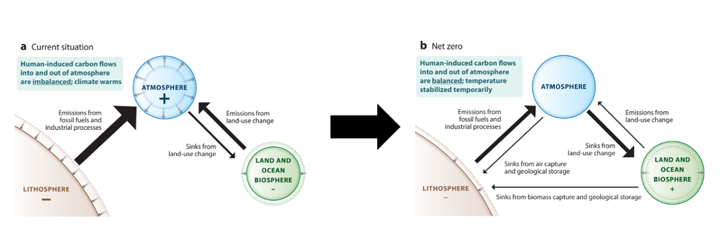 How much of the internet is covered by Net zero targets? - Green