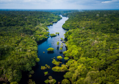 Webinar: Net zero and zero deforestation: Assessing the potential impacts of the EU deforestation regulation in Brazil