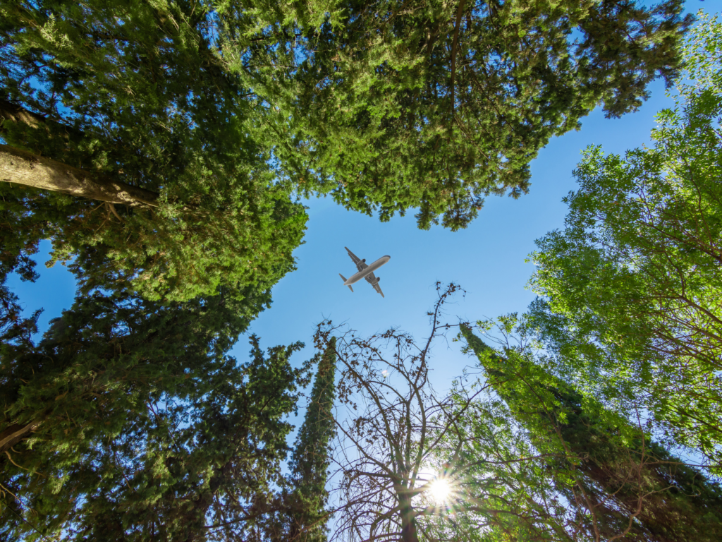 Panel discussion Carbon removals gaining traction or elusive