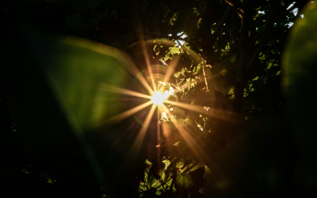 Oxford Net Zero and Futerra launch new “Spheres of Influence” white paper at Climate Week NYC